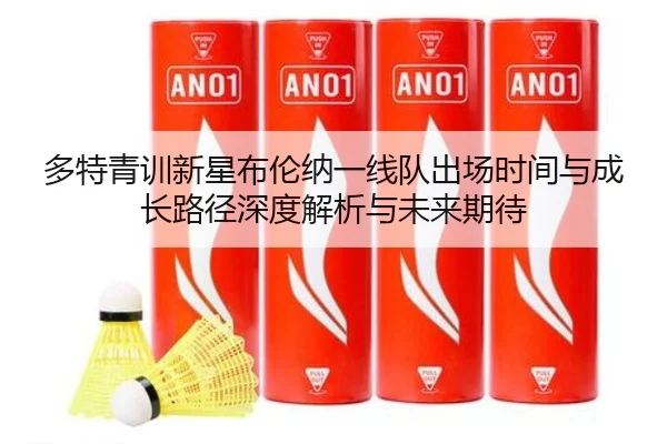 多特青训新星布伦纳一线队出场时间与成长路径深度解析与未来期待
